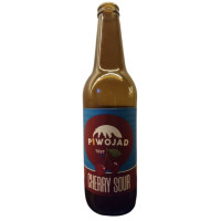 Piwojad Test #2: Cherry Sour