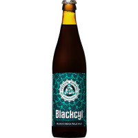 Browar Trzech Kumpli Blackcyl