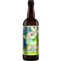 Jolly Pumpkin Artisan Ales Best Lei'd