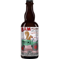 Jolly Pumpkin Artisan Ales Bam di Castagna
