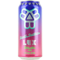 Bissell Brothers Brewing Lux