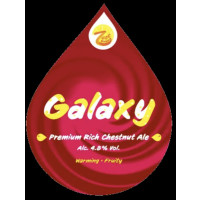 Zest Brewery Galaxy