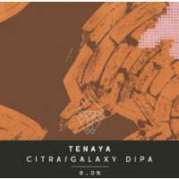 Track Brewing Co. Tenaya