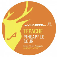 Wild Beer Co Tepache