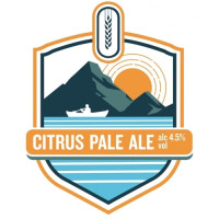 Flavourly Citrus Pale Ale Flavourly X Fourpure