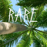 Brasserie Zythologist Rare - Colombo