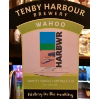 Harbwr Tenby Wahoo