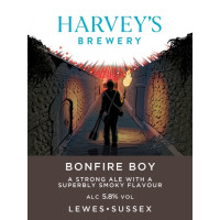 Harvey's Bonfire Boy