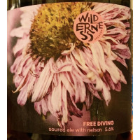 Wilderness Brewery (Wales) Free Diving