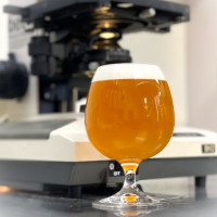 Hop Kotan Brewing Sauvinium