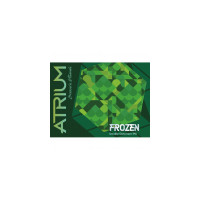 Brasserie Atrium Frozen