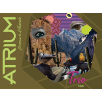 Brasserie Atrium Trio