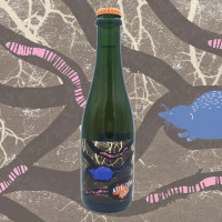 Artistraw Cider Subterranean Homesick Shrews