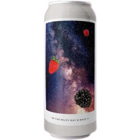 Evil Twin Brewing NYC To the Milky Way & Back II: Raspberry, Strawberry, Blackberry, Vanilla