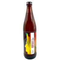 Jan Olbracht Browar Rzemieślniczy 2030 TDH Hazy IPA