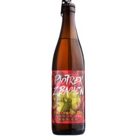 Jan Olbracht Browar Rzemieślniczy Piotrek z Bagien Belgian Orange Ale