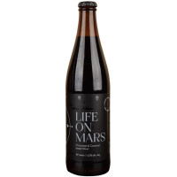 Szpunt Browar Rzemieślniczy Life On Mars