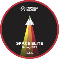 Pomona Island Brew Co. Space Elite
