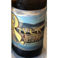Electric Village Blonde (Bottle)
