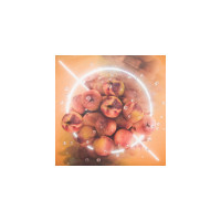 Cervesa Màger Soul Peach