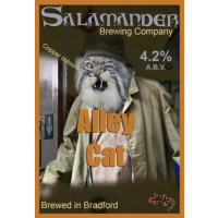 Salamander Alley Cat