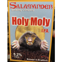 Salamander Holy Moly