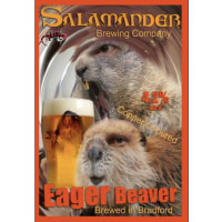 Salamander Eager Beaver