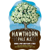 Otter Brewery Hawthorn