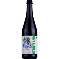 Berryland Black Currant Sparkling Melomel