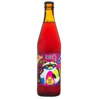 Dwóch Braci Ribes