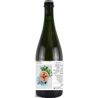 Ammonite Vinifera VI - Gamay