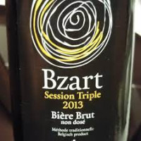 Domus Ad Fontes Bzart Session Triple