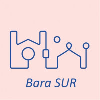 Karlskrona Mikrobryggeri Bara Sur