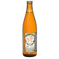 Pivovar Buchvald 10°