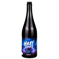 Holíčsky Pivovar Wywar Hazy IPA 15°