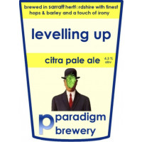 Paradigm Brewery Levelling Up