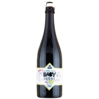 Brouwerij 't Verzet Baby Jesus Barrel Aged (Whisky)