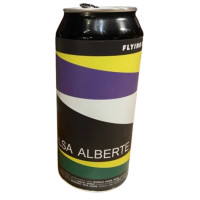 Flying Couch Brewing Salsa Alberte