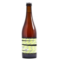 Mad Beer Sur