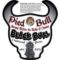 Pied Bull Black Bull