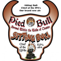 Pied Bull Sitting Bull