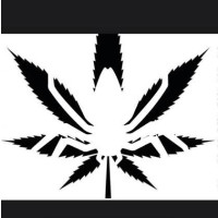 Christiania Bryghus White Widow