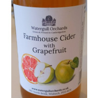 Watergull Orchards Farmhouse Cider with Grapefruit