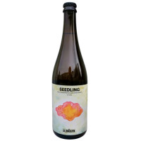 Slowburn Brewing Co-op Seedling