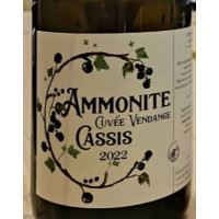 Ammonite Vendange Cassis 2022