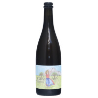 Mike Nährer The Sound of Traisental