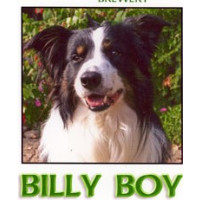Poachers Billy Boy