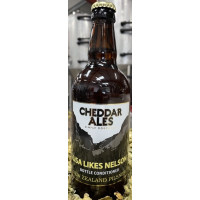Cheddar Ales Lisa Likes Nelson