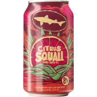 Dogfish Head Craft Brewery Citrus Squall