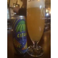 Ten Hands Brewing Citra Springs